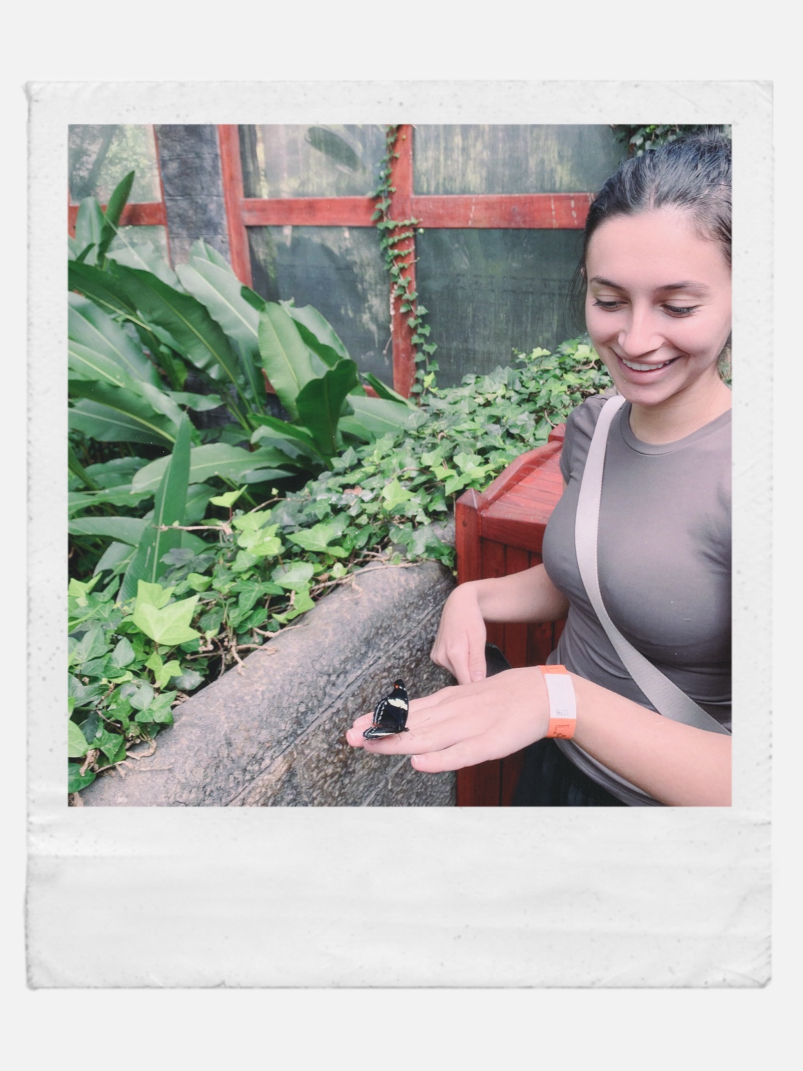 Butterfly resting on Natasha's hand