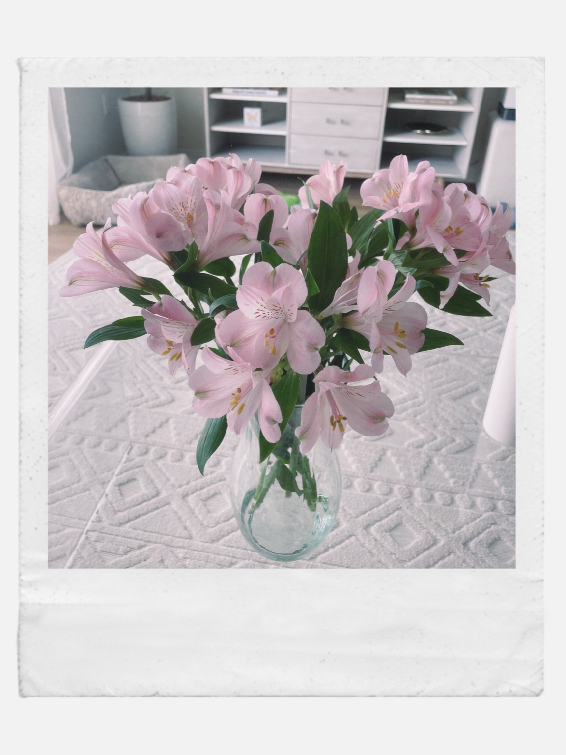 Pink flowers in a glass vase